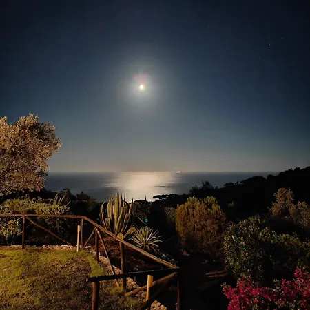 Sea View With Large Garden