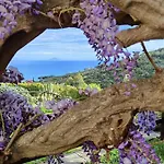 Sea View With Large Garden Βίλα