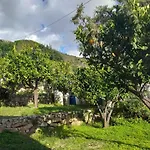 Sea View With Large Garden * CAMPO NELL'ELBA