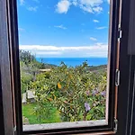 Sea View With Large Garden