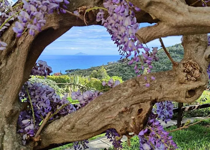 Sea View With Large Garden Villa