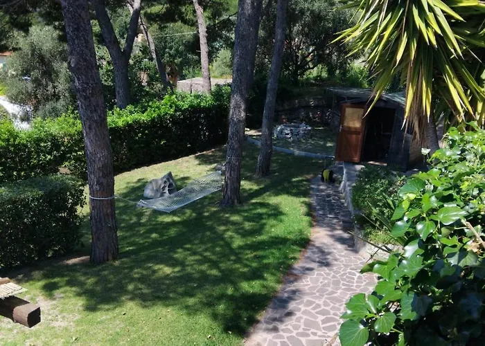 Sea View With Large Garden