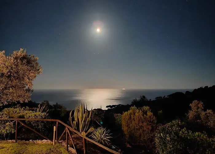 Sea View With Large Garden